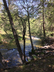 Yes, it's just a creek. But more than that, to us.