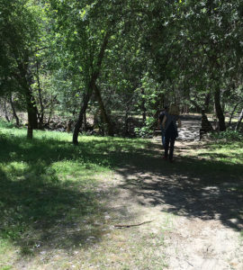 Heading back from the creek area over to the site where the hatchery used to be