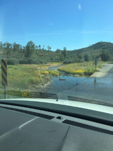 It was a beautiful day to experience this old road again. The area was green, with wildflowers and the creek was filled with water.