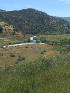 We used to hike up to a road that was previously a train route on the mountain in the background, which can be seen at a distance.